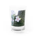 古春一生(Koharu Issey)の咲き誇れ、先の事など考えず。 Water Glass :front