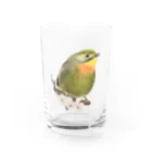 たんぼくのソウシチョウさん Water Glass :front