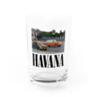 MusicahoricのHAVANA - smells likes weed spirit  Water Glass :front