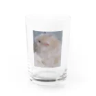 fuukachan316のサテンハムスターのモフ🐹 Water Glass :front