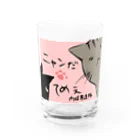 ぎゃらりー☆紫桜の肉球愚連隊 Water Glass :front