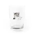 プレリ亭のチョビ Water Glass :front