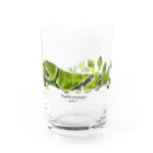 OJIKのクロアゲハイモムシ Water Glass :front