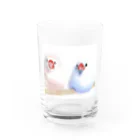 ツチノコ＠リムマンショップのブンチョーのきょうだい Water Glass :front