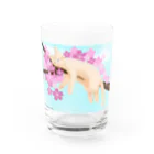 たくらだ猫の猫ハウスの桜ねんねsky Water Glass :front