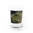 田代りえ子のtashiroriekoイグアナ Water Glass :front