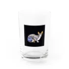 Fios shopのsprezzaturaスフィンクス Water Glass :front