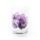 H2Styleのもうすぐ春ですね Water Glass :front