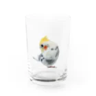 きいろしまえなが。のシンプルみかど Water Glass :front