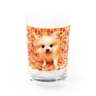 ねこっちくんカンパニーのカラフルねこっちくん Water Glass :front