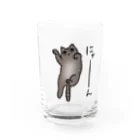 白雪Rのきじとら猫 Water Glass :front