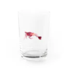 SABOT GOODSのエビ Water Glass :front