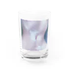 ゃんゃん(＞＜)ぼたいゃんのぼたいを飲んで目指そう健康体 Water Glass :front