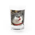 もも＆さるりーの子猫さるりー Water Glass :front