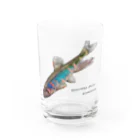 魚…ですか？のオイカワ Water Glass :front