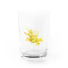 ！あんにゅいぽっぽ！のMIMOZA Water Glass :front