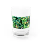 megu0328の乗鞍岳の高山植物 Water Glass :front