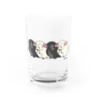 都会のくまねずみくん taaamaのチンチラフレンズ Water Glass :front