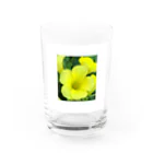 ムシロのお花 Water Glass :front
