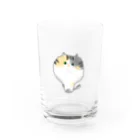 もふもふにゃんずのあたまでっかち猫のらむ Water Glass :front