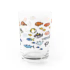 しまのなかまfromIRIOMOTEのらくがきしまのなかま魚類 Water Glass :front