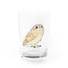 iro×asobi.の手描きコキンメフクロウ Water Glass :front