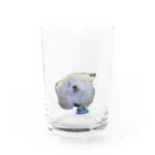 しんのすけのここちゃんグラス Water Glass :front