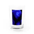 tamaの海月 Water Glass :front