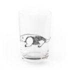 ぴーやまの透過するミナミコアリクイ Water Glass :front