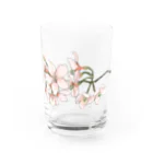 ヤングコーン市場の桜sakura Water Glass :front
