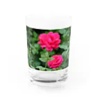 ひなのバラ(ピンク) Water Glass :front