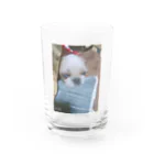 Chigu:ℓσνє♡の可愛いランちゃん Water Glass :front