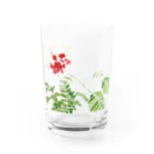 Gardenの夏の記憶 Water Glass :front