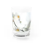 はち / きまぐれハチログの白い梅 Water Glass :front