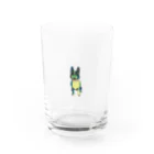 Park a Holic Bostonterrierのボストンテリアのセブン君 Park a Holic Bostonterrier Water Glass :front