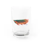 キナッコのキナッコさんちのアジアアロワナ(赤) グラス前面