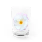 コマタヒチの【可憐】白と薄ピンクと黄色のお花 Water Glass :front