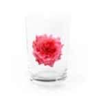 コマタヒチの【キザにキマる】爛々と咲く濃いピンクの薔薇 Water Glass :front