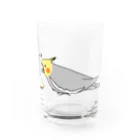 猛禽族のりんごにキレるオカメインコ  Water Glass :front