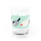 ブンチョのずんだのずらりフクフク文鳥 Water Glass :front