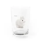 めんふぃすのうさぎ　ネザー Water Glass :front