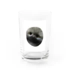 こやま　りなのジャー Water Glass :front