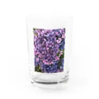 むむむむの紫陽花 Water Glass :front