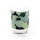 yutoyouの Lotus Leaf Water Glass :front