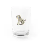 のばら（NOBARA）のプードルシリーズ Water Glass :front