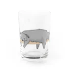 プリズモリイの箱のだらりんこ ビントロング Water Glass :front