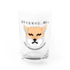 千客万来ねこ日和のチベスナくん 1号 Water Glass :front