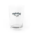 おさかなくんのボラくん Water Glass :front