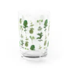 いいだ あやかのherb Water Glass :front