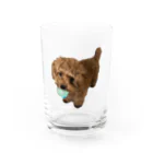 メルちゃんの可愛さを布教するだけのお店の伝説の秘宝を携えし犬 Water Glass :front
